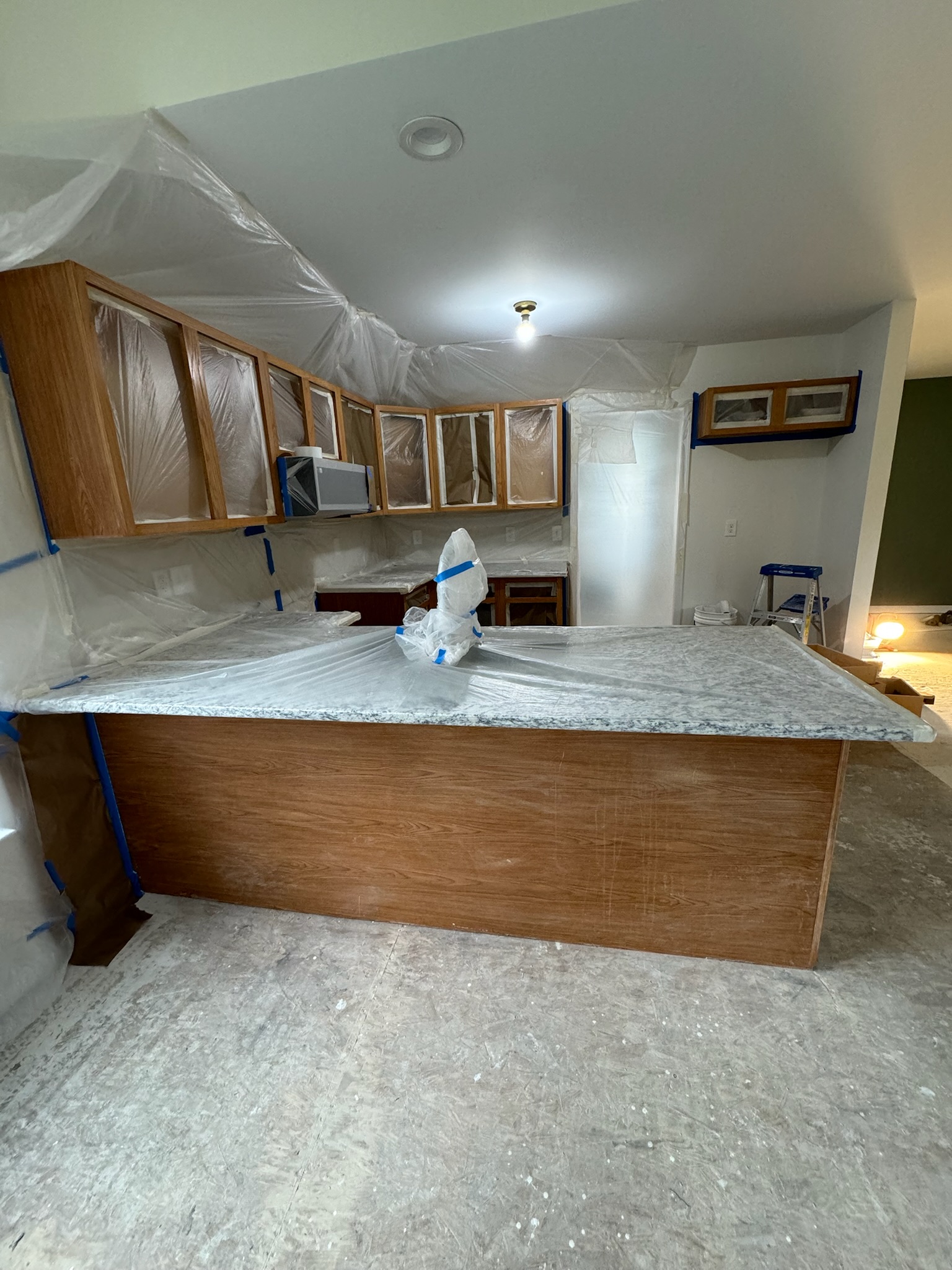 Cabinet Refinishing Project