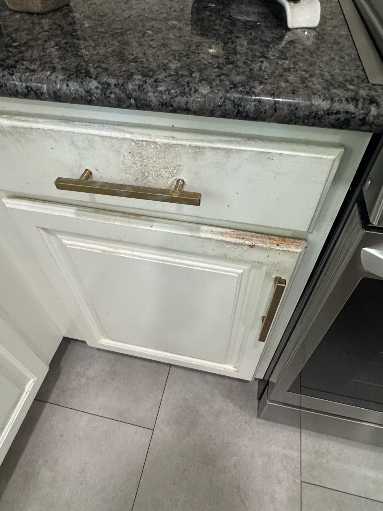 Cabinet Refinishing Project