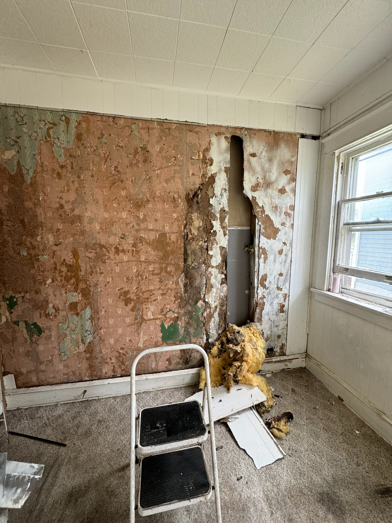 Projeto de pintura 58