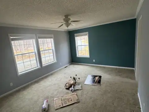 Interior painting project