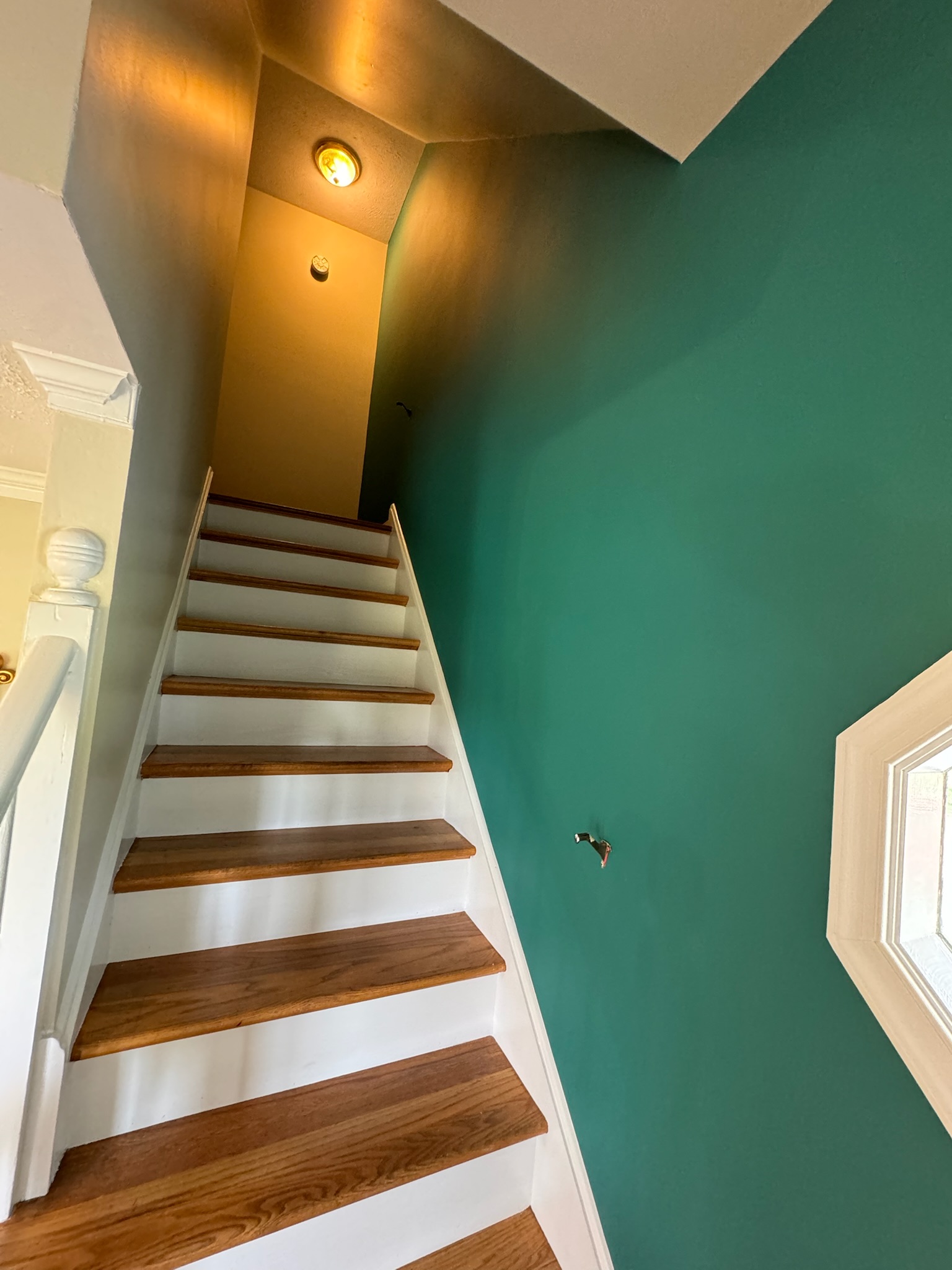 Projeto de pintura 42