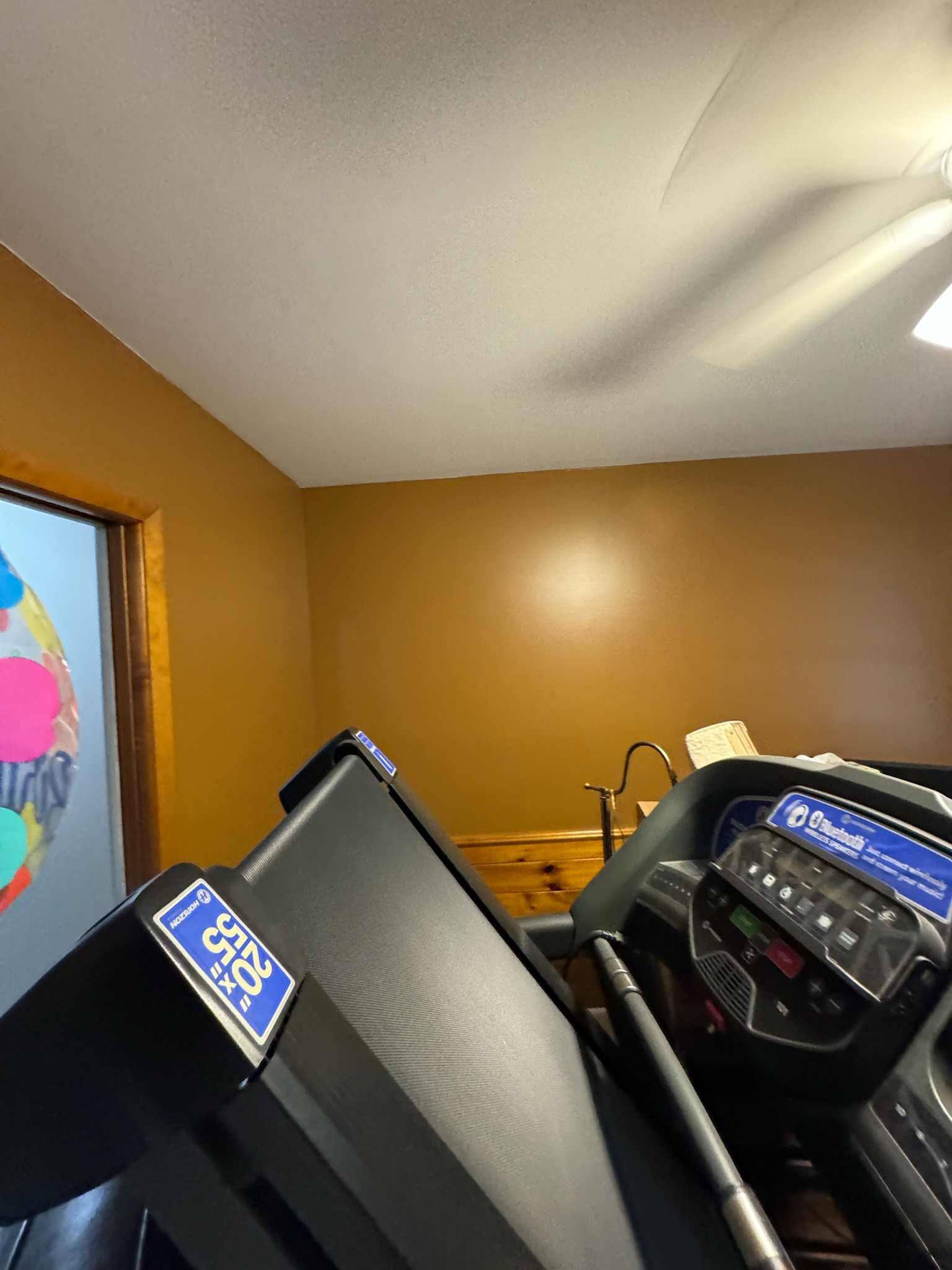 Projeto de pintura 55